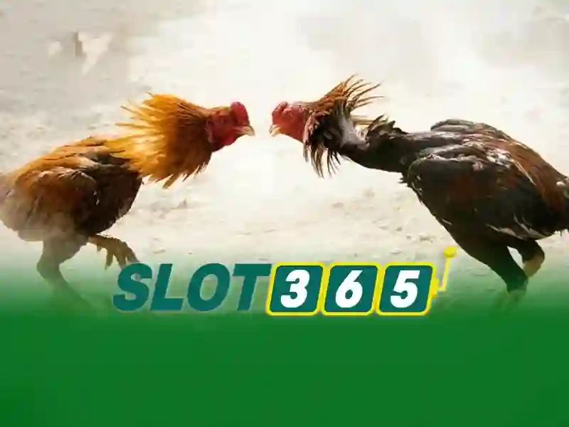 Slot365 - Trải nghiệm slot trực tuyến hàng đầu