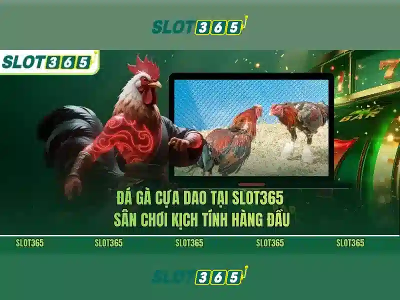heylink slot365 login – Đột phá trải nghiệm và an toàn cho người chơi