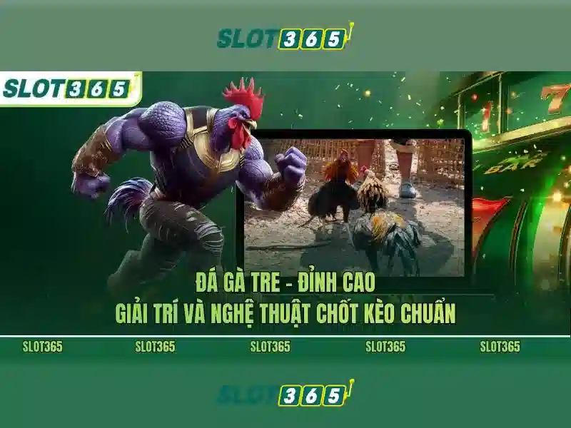 Slot365: Trải nghiệm chơi slot đỉnh cao