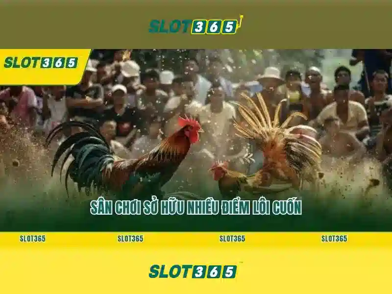 Slot365 - Đánh giá và trải nghiệm chơi slot trực tuyến