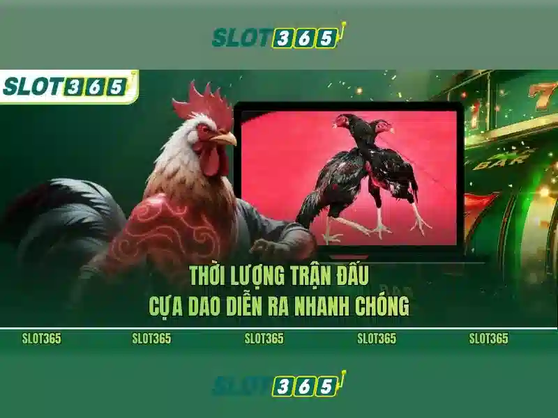nhà cái Slot365 – trải nghiệm đỉnh cao và tiện ích an toàn