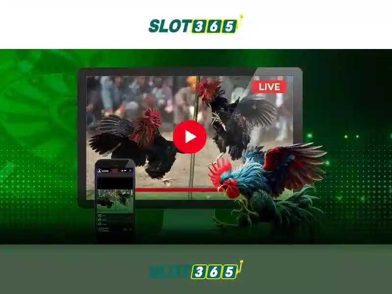 Slot365 là nền tảng chơi slot trực tuyến uy tín
