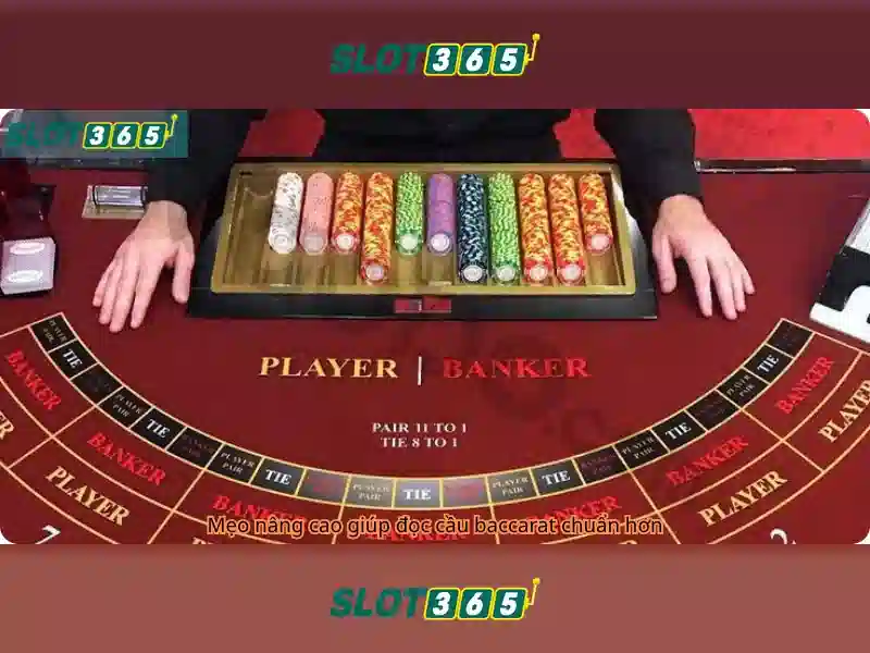 Slot365: Khám phá casino trực tuyến đầy cảm hứng