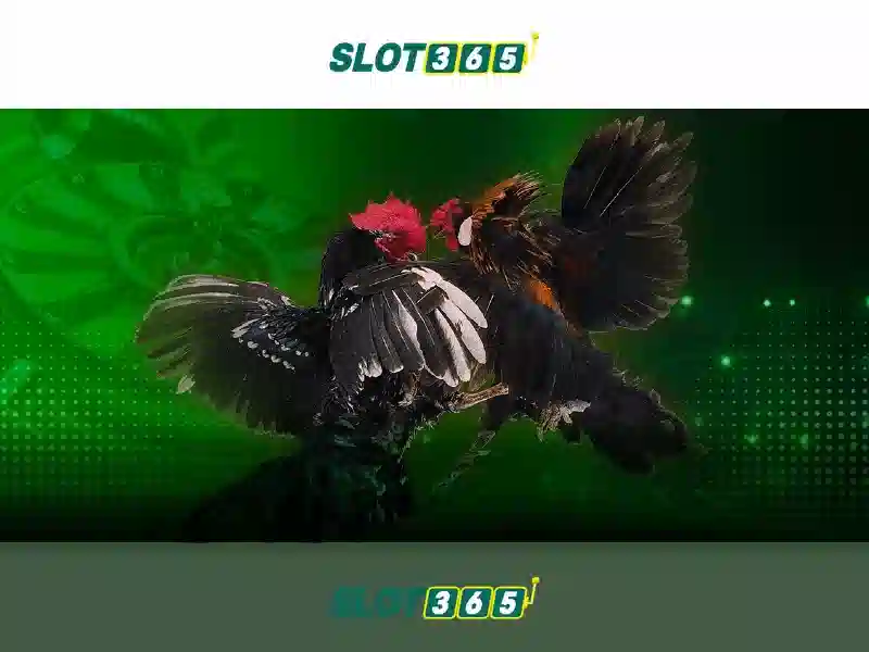 Slot365 – Nền tảng slot trực tuyến đáng tin cậy và giải trí cao cấp