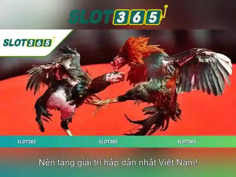 Slot365: Nền tảng casino trực tuyến uy tín và đa dạng trò chơi