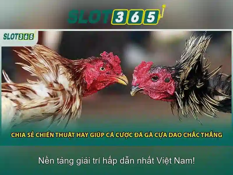 Slot365 – Đánh giá và trải nghiệm chơi slot trực tuyến