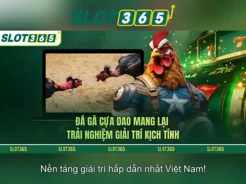 Slot365 – Nền tảng máy đánh bạc trực tuyến