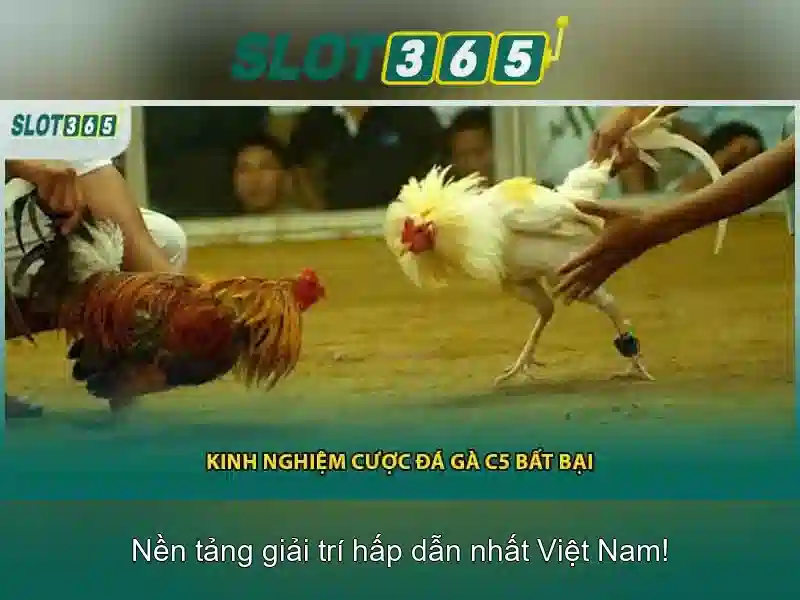 Slot365 - Đánh giá nền tảng slot trực tuyến hàng đầu