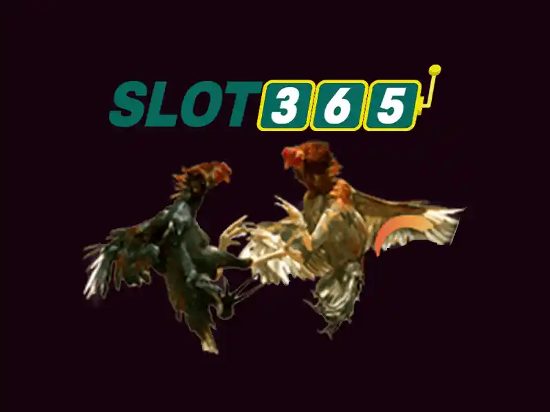 Slot365: Nền tảng slot trực tuyến và trải nghiệm casino đỉnh cao