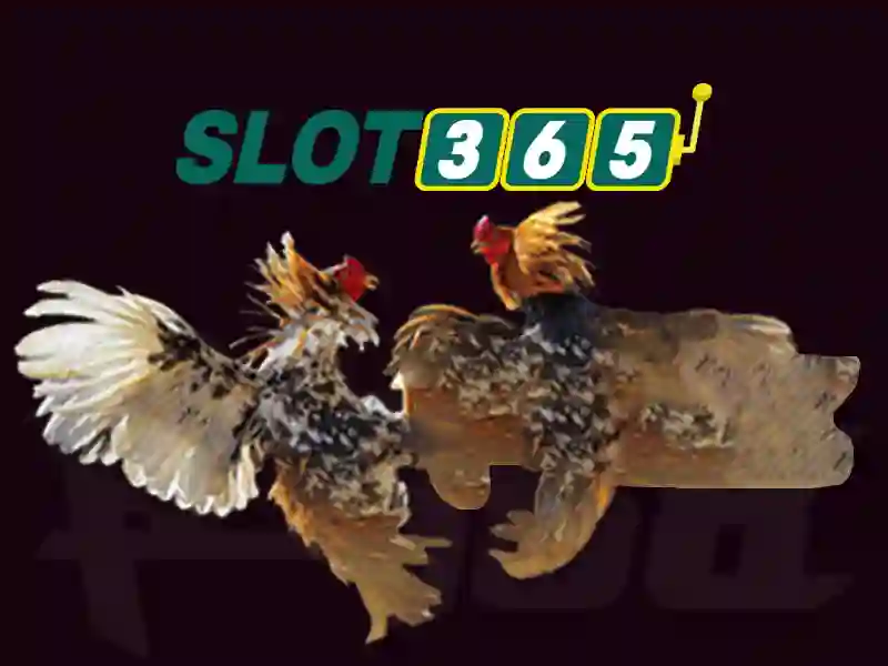 Slot365 – Đánh giá và trải nghiệm chơi quay có thưởng